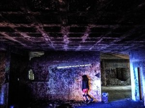 Julie Pichavant Les poissons ne posent pas de question -Los peces no hacen preguntas TFM Tampico Mexico