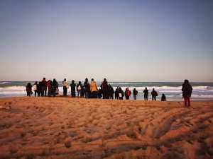 Julie Pichavant Les poissons ne posent pas de question -Los peces no hacen preguntas TFM Tampico Mexico