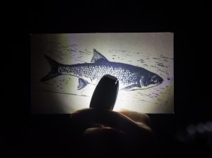 Sorry for Paradise Julie Pichavant